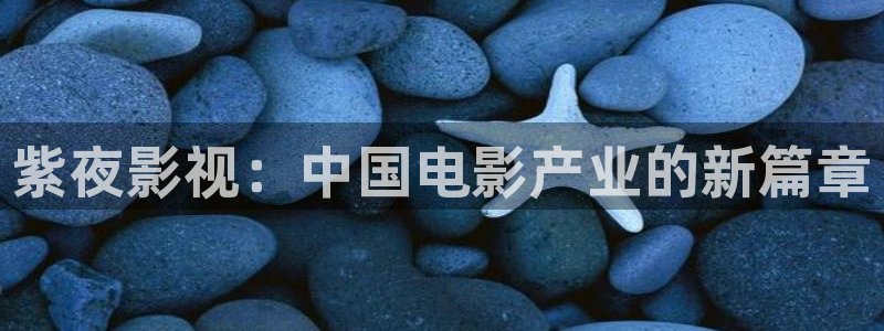 被窝草民午夜理论影片