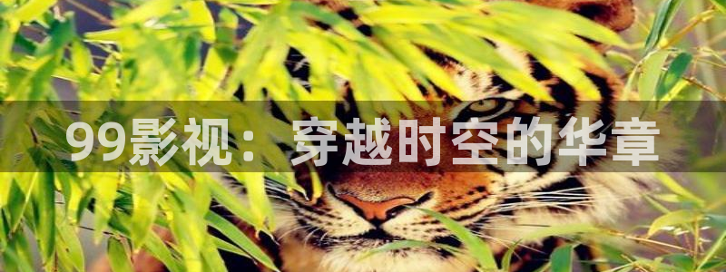 被窝秋霞电影网