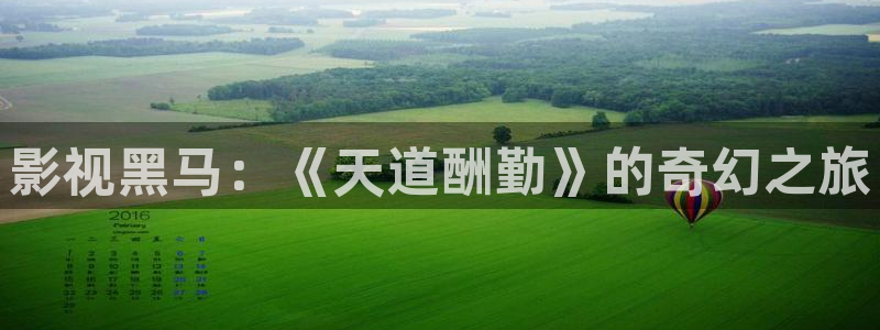 被窝影院在线观看：影视黑马：《天道酬勤》的奇幻之旅