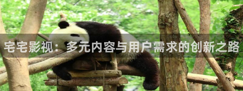 被窝午夜理论影片