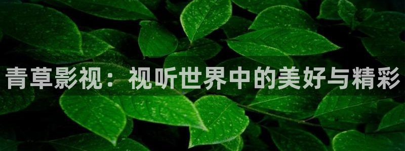 被窝影院在线观看蜜桃：青草影视：视听世界中的美好与精彩