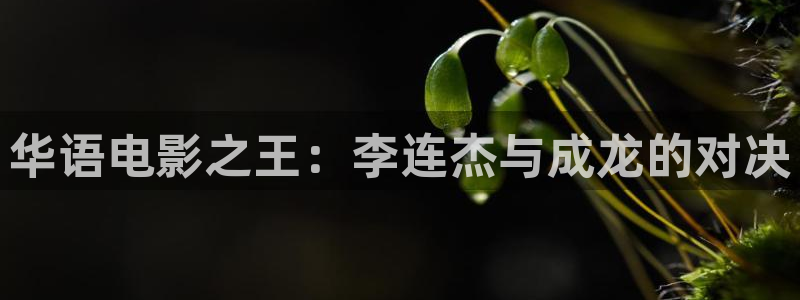 秋霞被窝电影网